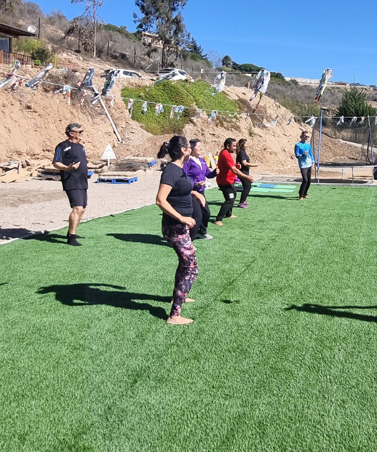 Talleres temáticos, cursos y charlas